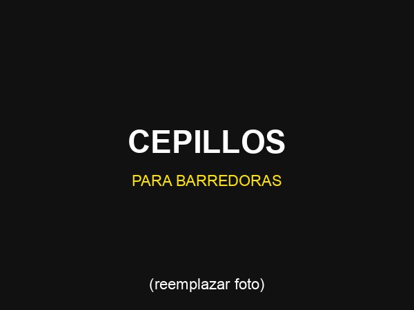 Cepillos para Barredoras